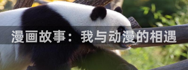 腐漫网家的大作战动漫：漫画故事